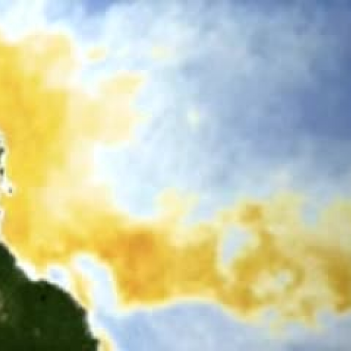 EDIT 202 Sample Video