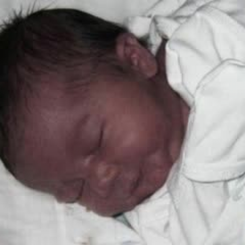 Because I Could Not Stop For Death