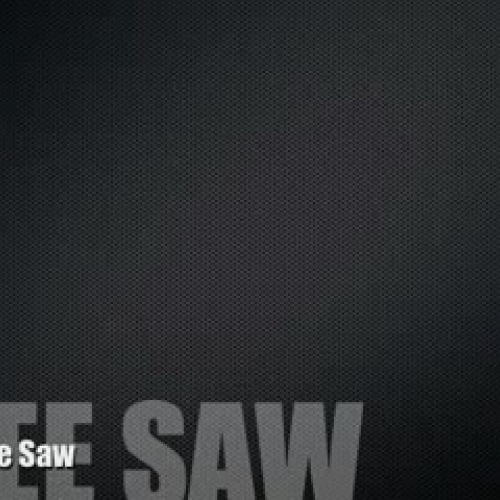 See Saw