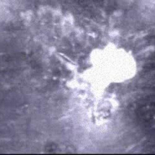 EDIT 202 Sample Video