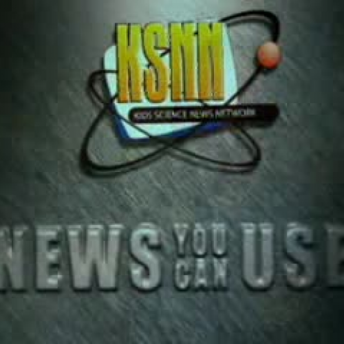 EDIT 202 Sample Video