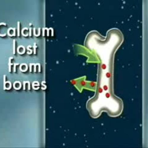 EDIT 202 Sample Video