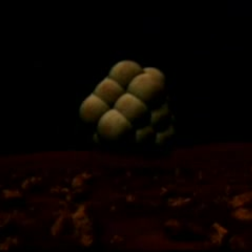 EDIT 202 Sample Video