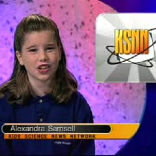 Answer to Life's Questions