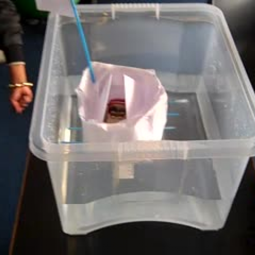 Y13 Boat Float 2