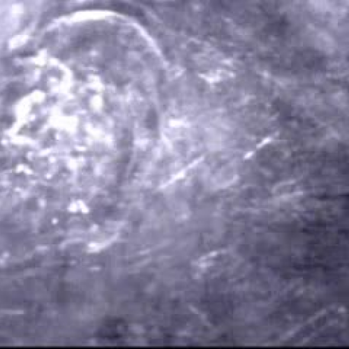 EDIT 202 Sample video