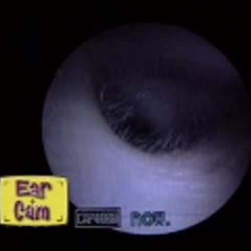 EDIT 202 Sample Video