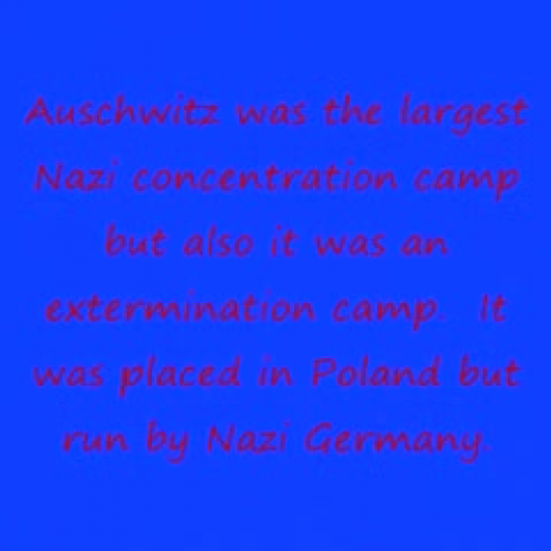 literature auschwitz project