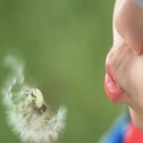 OL Outsiders Soundtrack