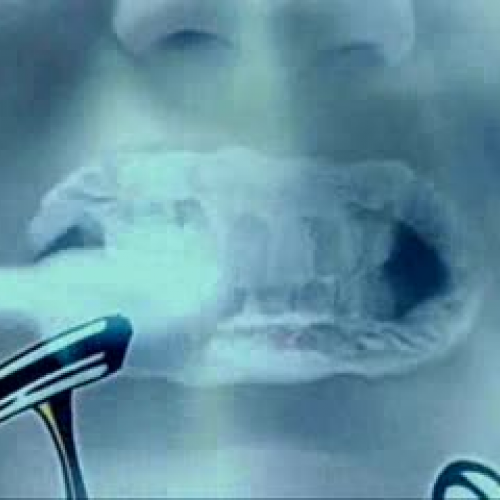 EDIT 202 Sample Video