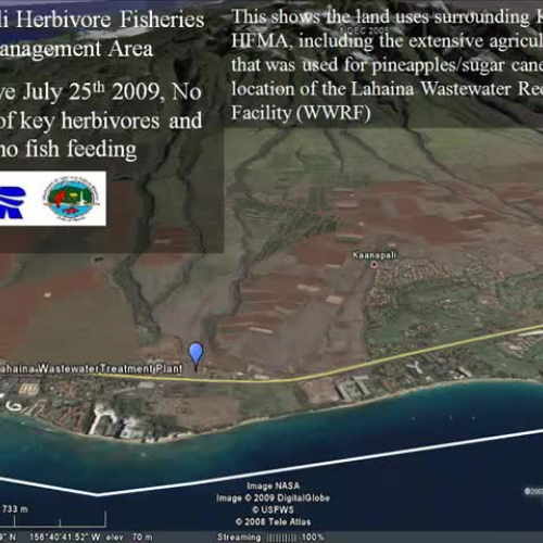 Kahekili Herbivore Fisheries Management Area