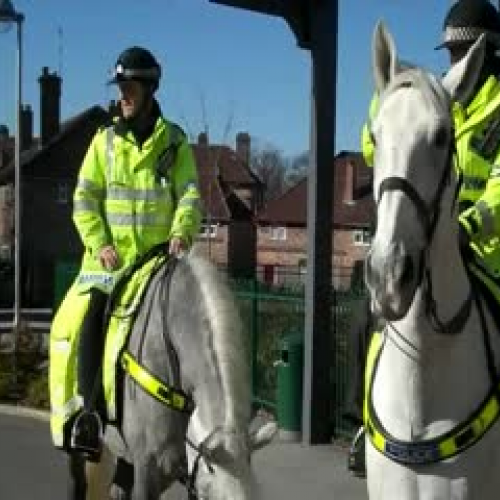 Police Horss