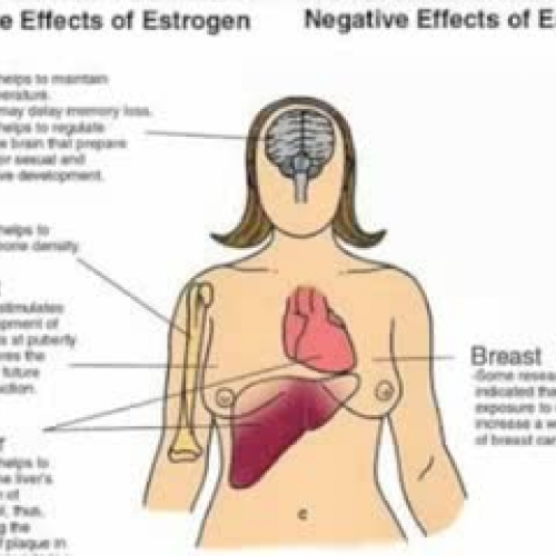 Estrogen PSA