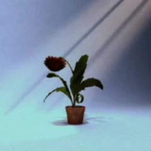 EDIT 202 Sample Video