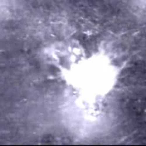 EDIT 202 Sample Video