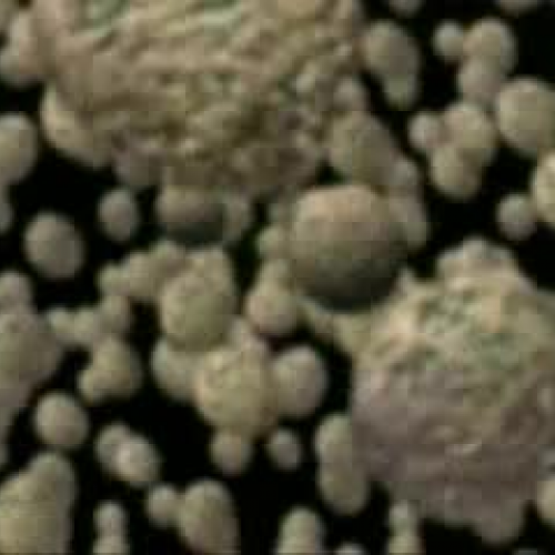 EDIT 202 Sample Video