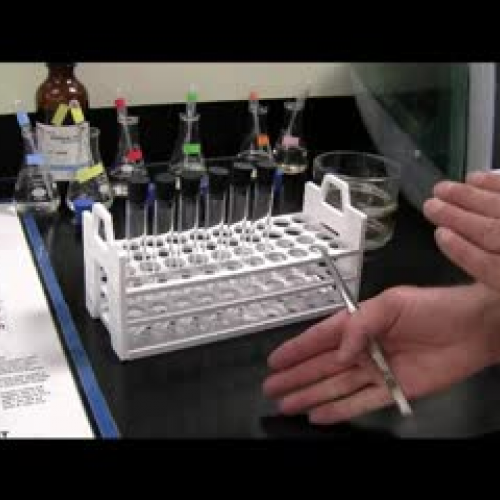 Molecular Love Volume 1