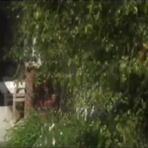 A crib and some panels