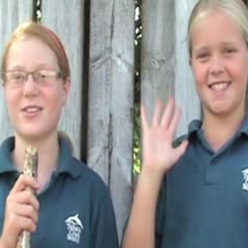 Rm 38Hermit Crab Interview