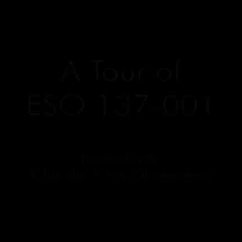 ESO 137 in 60 Seconds (Standard Definition)
