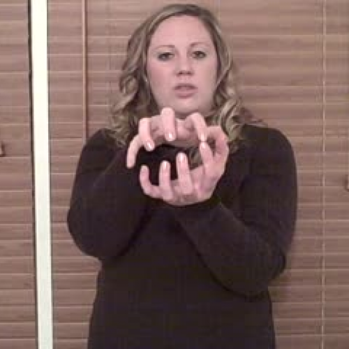 Animal Signs - Part 1