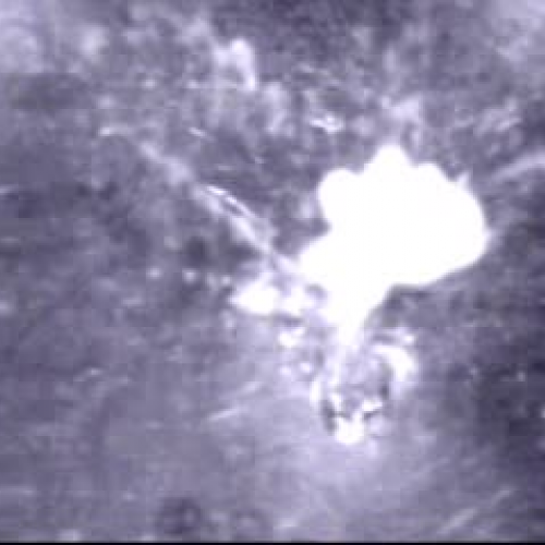 EDIT 202 Sample Video