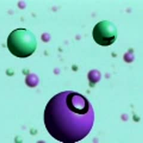 EDIT 202 Sample Video