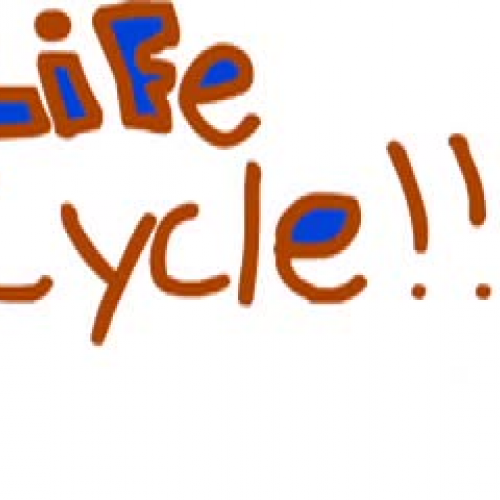 Rm 38 Hermit Crab Animation