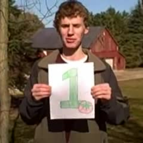 Diez cosas que reducirán la huella ecológica