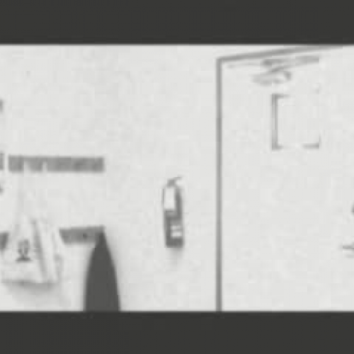 Tiger TV News Update