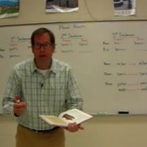 Plural Nouns - Latin 1