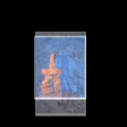 NonLinguistic Representation