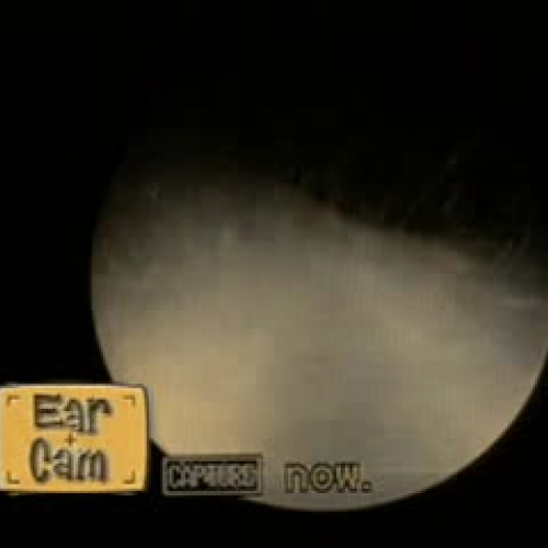 Edit 202 sample video Cam