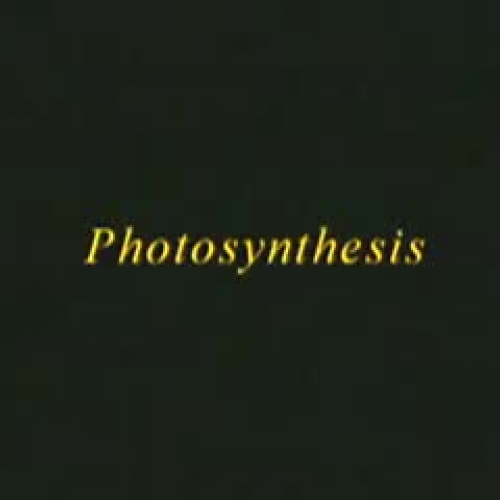 Photosynthesis