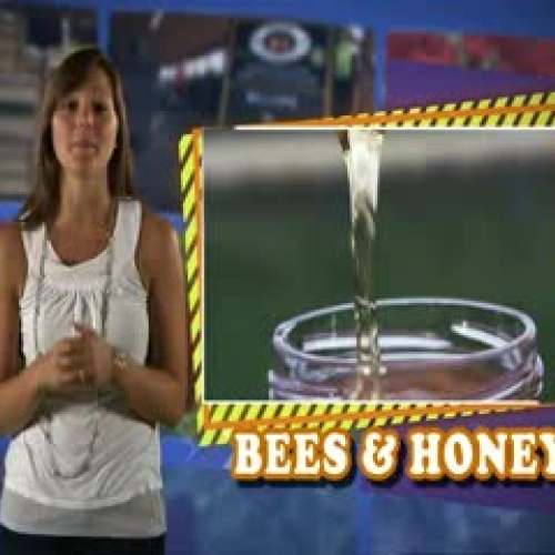 Delaware Bees - Honey
