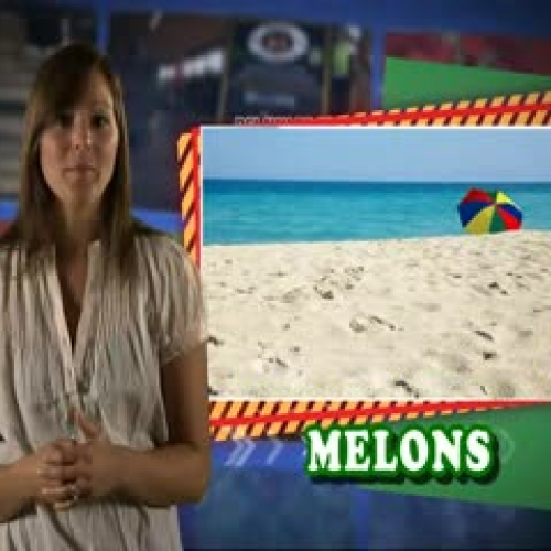Delaware Melons