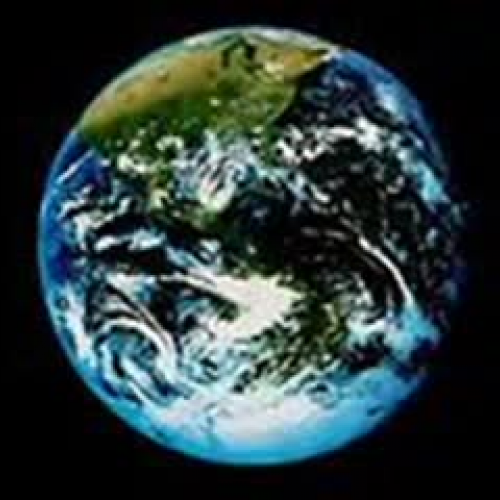 Rainforest---KMonroe