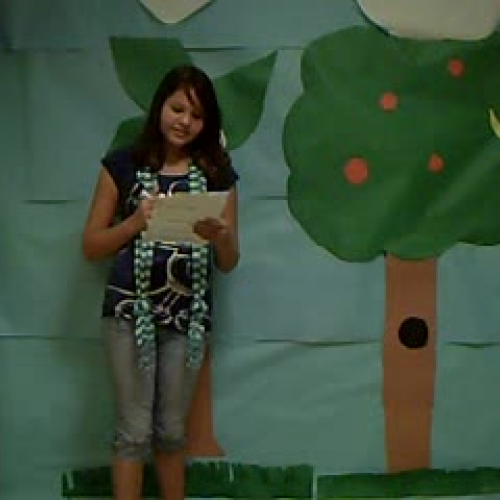 1st - Environmentalist