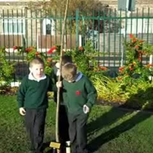 Looking at our environment