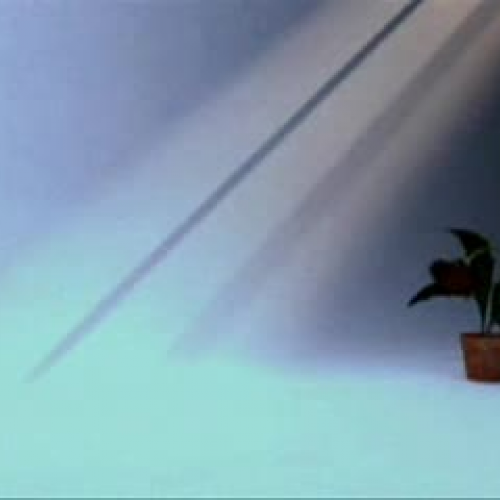 EDIT 202 Sample Video