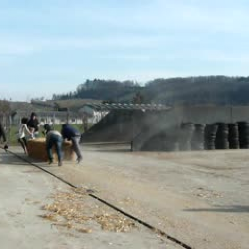 BEST FARMER IN TIGHTS