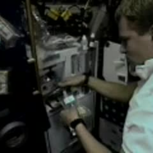 EDIT 202 Sample Video