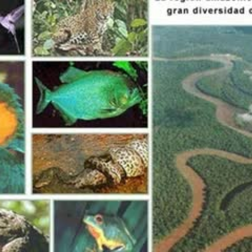 Biodiversidad