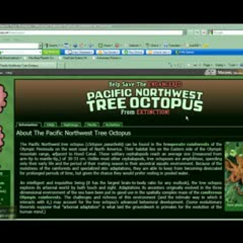 Think Out Loud Evaluation: Tree Octopus Websi