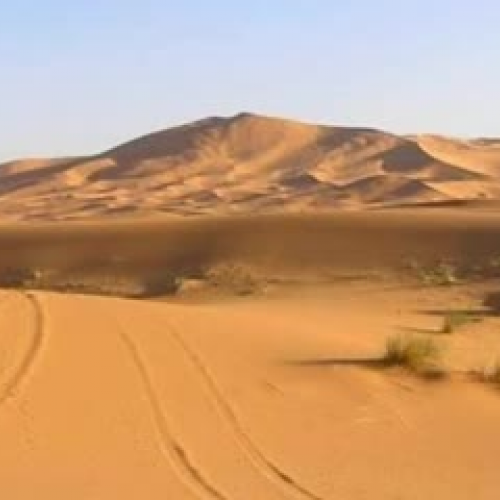 Desierto