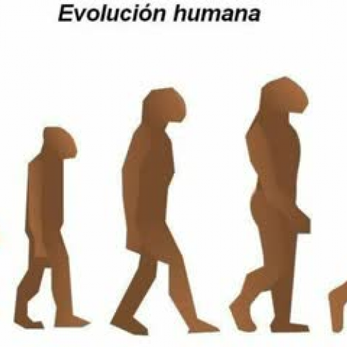 Evolución humana