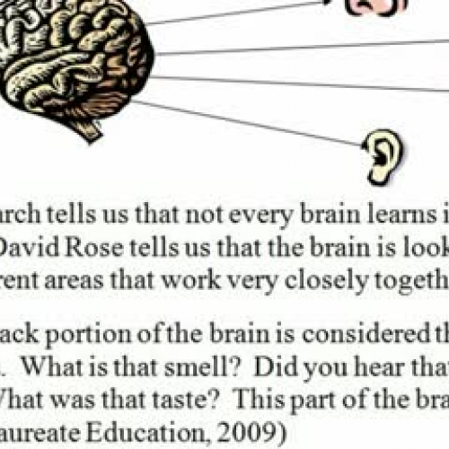 UDL:  Universal Design for Learning