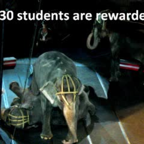 430 students earn trip to circus