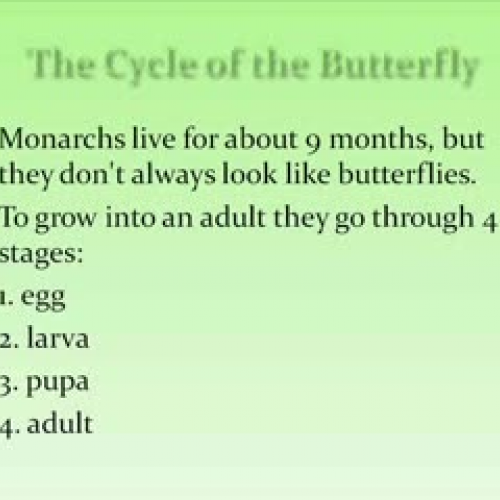 The Monarch Butterfly