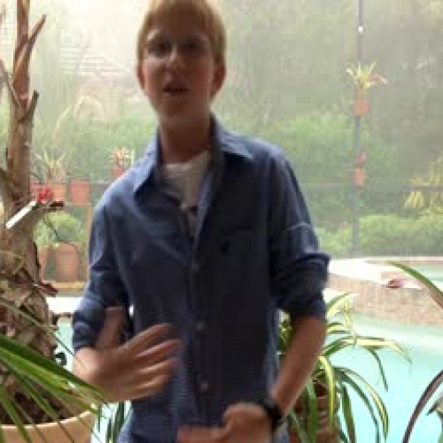 Chance's Book Report